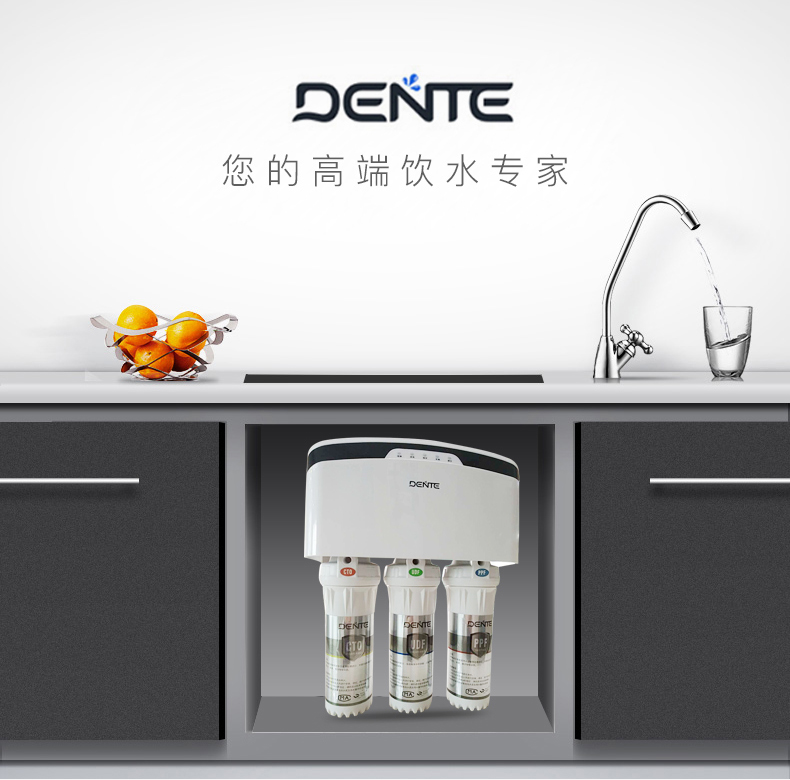 DTJ-RO-D净水器(2)_18.jpg