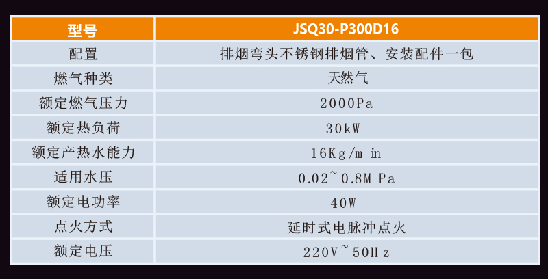 规格燃气详情图P300D16.jpg
